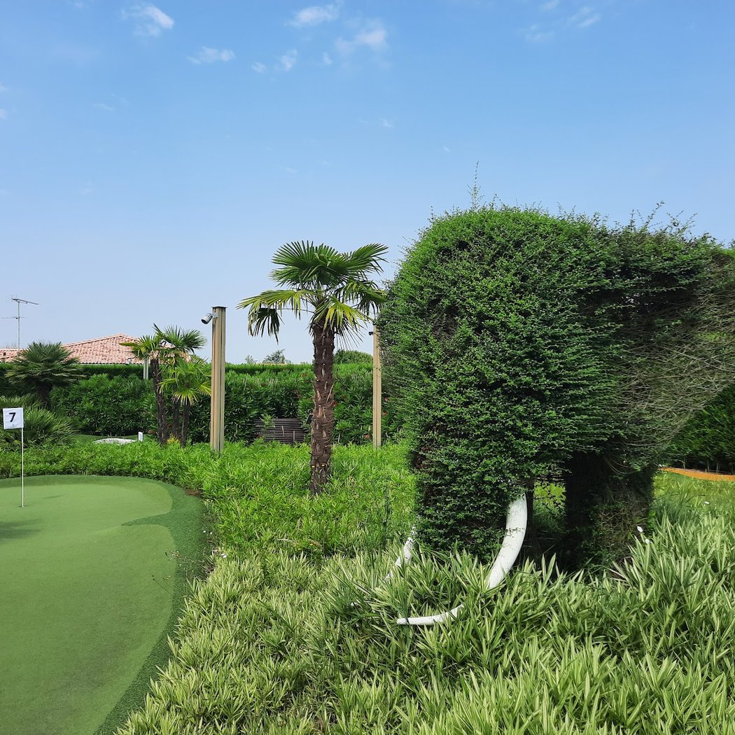 Fantasia mini golf 1